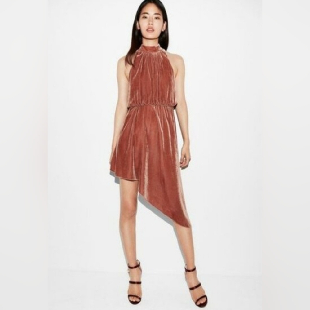 Express Asymmetrical Halter Dress in Rust